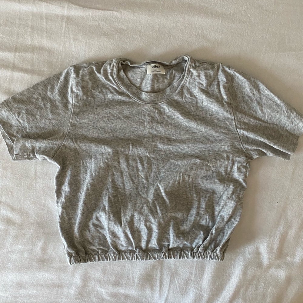 Aritzia Crop Top in Grey